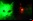 Gatos clonados que brillan en la oscuridad Gatos clonados que brillan en la oscuridad